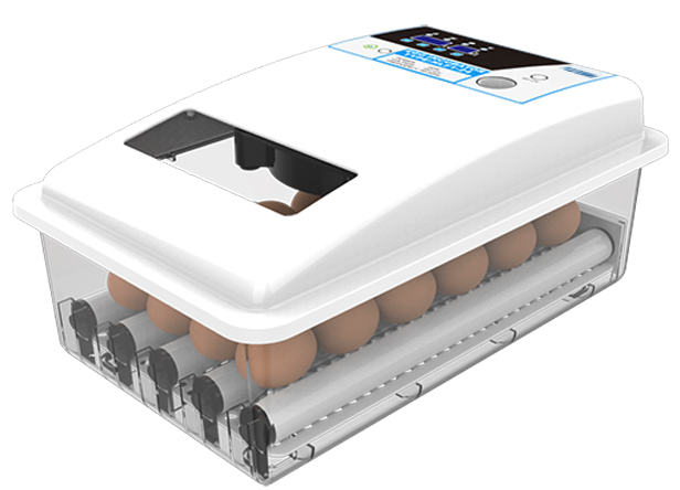 Plastic incubator
