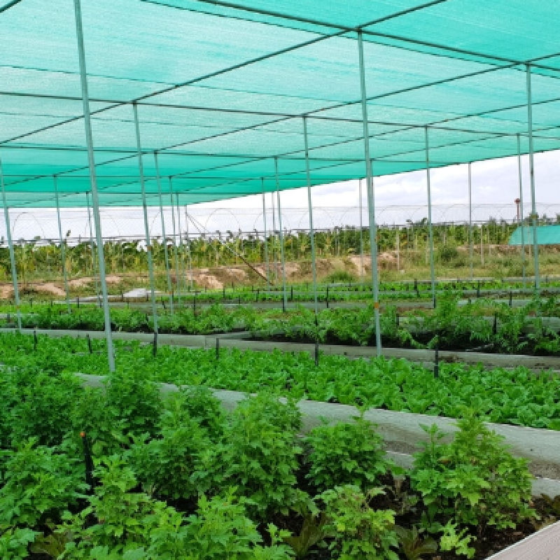 ECOSUN 40% SHADENET (AGRICULTURE)