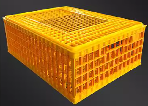 Transportation cage