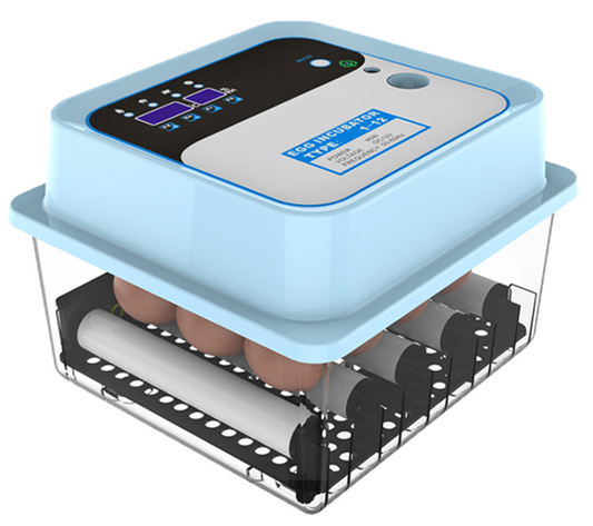 Plastic incubator