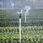 Wobbler sprinkler