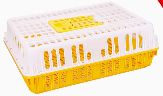 Transportation cage