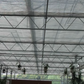 ECOSUN 40% SHADENET (AGRICULTURE)