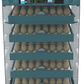 Plastic incubator