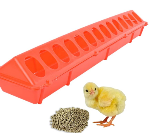 chicken Scratching Feeder  Tube