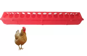 chicken Scratching Feeder  Tube