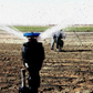ECOSUN MEGANET SPRINKLER
