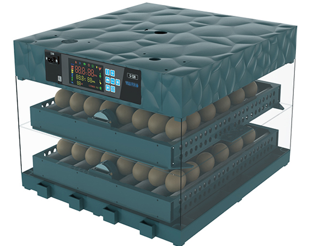 Plastic incubator