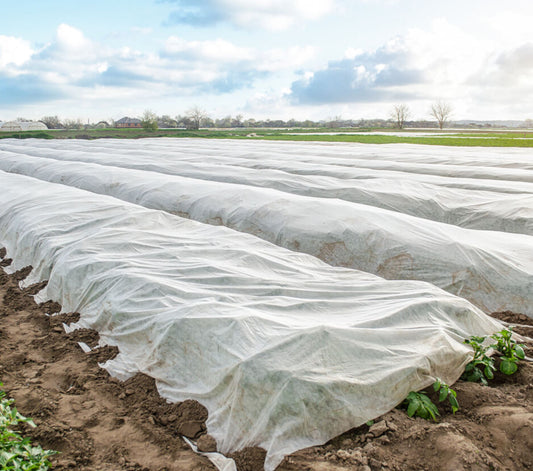 ECOSUN FROST COVER