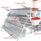 Layer cage 48 96 128 160 chickens